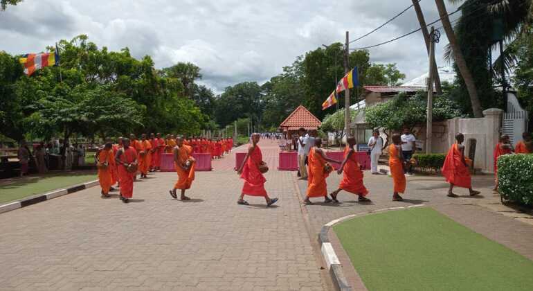Tour di un giorno da Kandy ad Anuradhapura Sri Lanka &mdash; #7