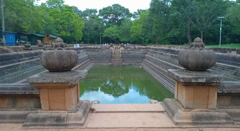 Tour di un giorno da Kandy ad Anuradhapura Sri Lanka &mdash; #9