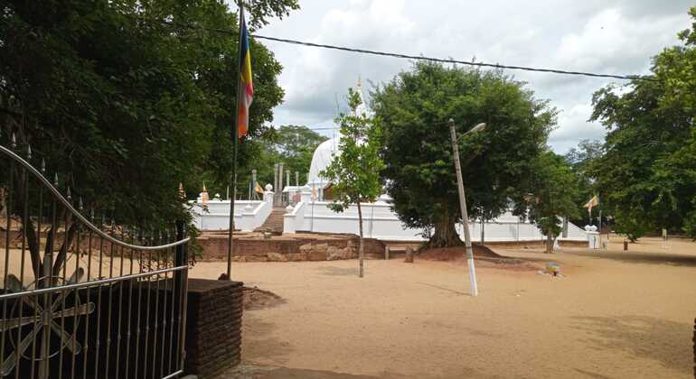 Tour di un giorno da Kandy ad Anuradhapura Sri Lanka &mdash; #11