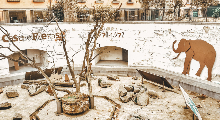 Retiro Park Free Tour