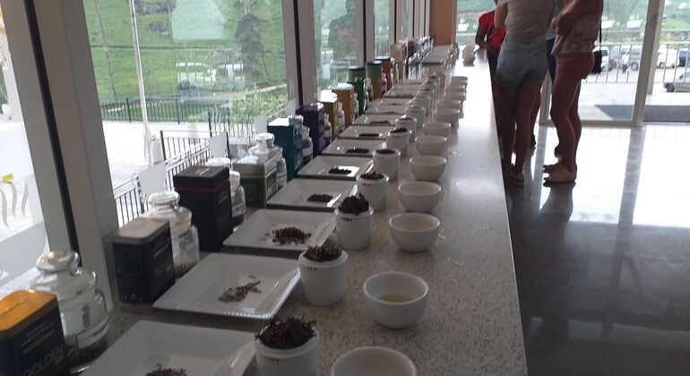 Amazing Natural Spices & Ceylon Tea Tour around Kandy Sri Lanka — #7