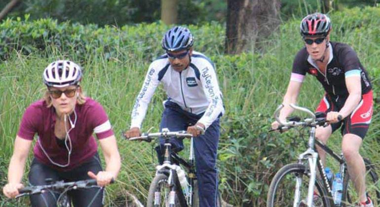 Passeio de bicicleta pela plantação de chá de Hanthana