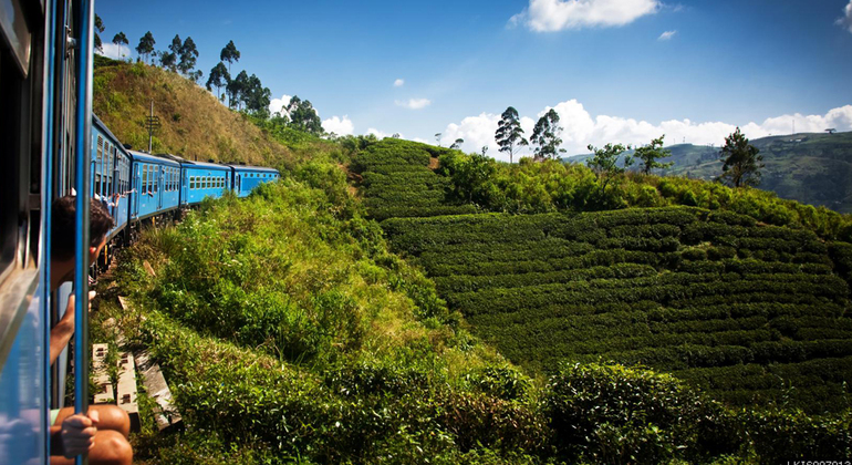 Nuwara Eliya desde Kandy en tren Sri Lanka — #2