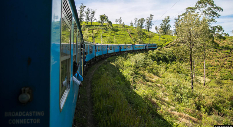 Nuwara Eliya desde Kandy en tren Sri Lanka — #3
