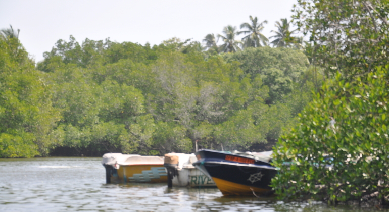 Safari en barco por el río Madu Ganga, Sri Lanka