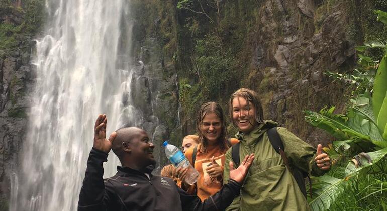 Materuni Waterfalls and Cofee Tour with Moshi Town Tour Provided by ALBERT MTUI