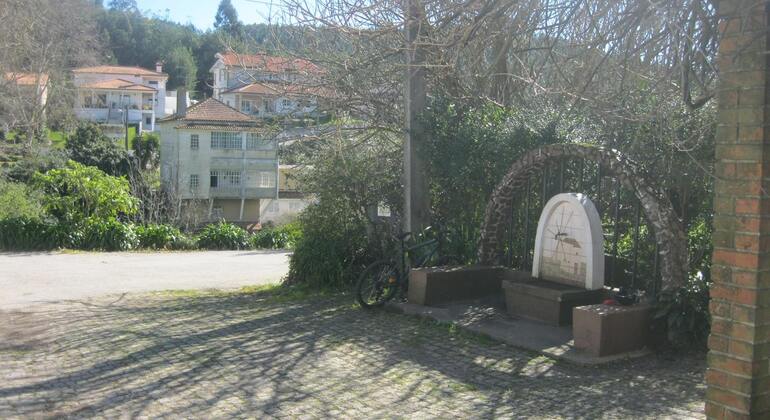 Passeio na natureza com um habitante local em Anadia Bairrada