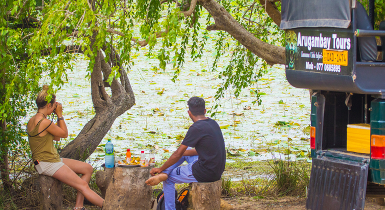 Safari d'une journée dans le parc national de Kumana Sri Lanka — #1