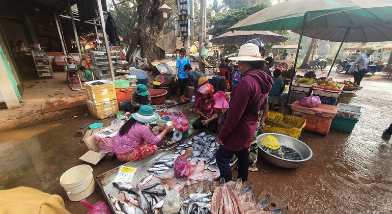 Virtual Lives from Siem Reap Hidden Gems Local Culture Tour Cambodia — #24