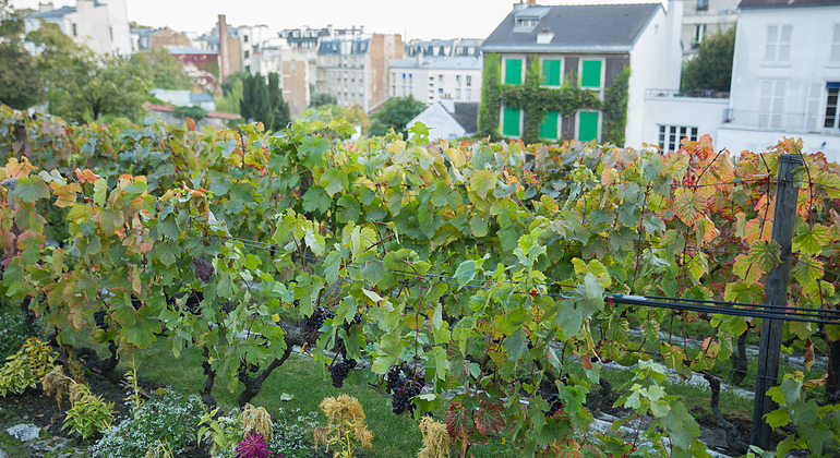 free-tour-quartiere-montmartre-es-1