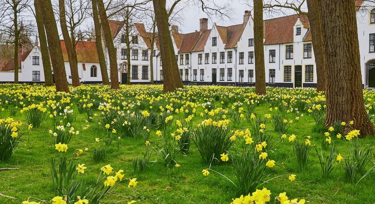 full-day-guided-tour-to-bruges-by-train-from-brussels-es-2