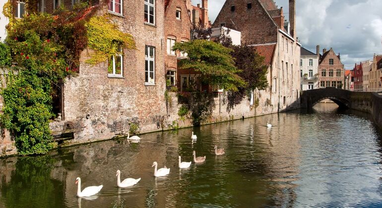 full-day-guided-tour-to-bruges-by-train-from-brussels-es-3