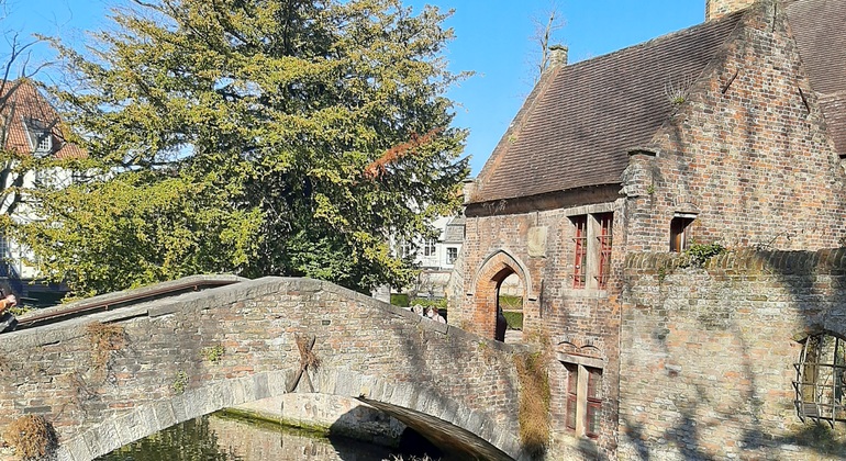 full-day-guided-tour-to-bruges-by-train-from-brussels-es-4