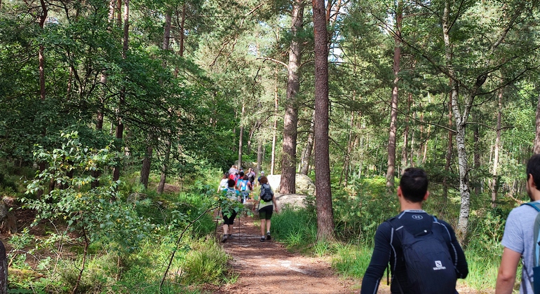 Avventura a piedi nella foresta di Fontainebleau