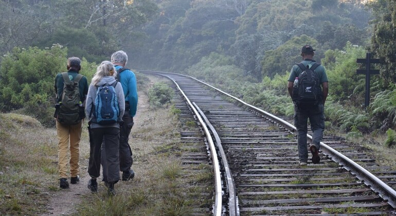 Randonnée privée et guidée en chemin de fer jusqu'aux frontières des plaines de Horton, Sri Lanka
