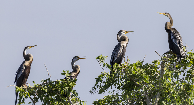 Parc national de Bundala 10 heures de safari privé, Sri Lanka