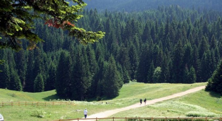 Viagem de um dia a Igman e Bjelasnica a partir de Sarajevo