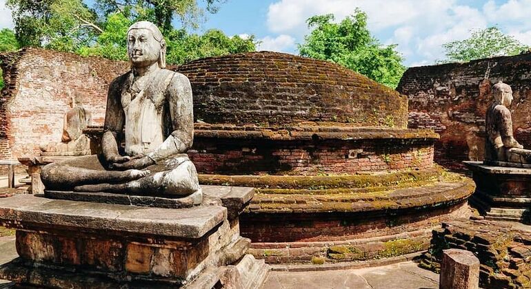 Tagesausflüge von Kandy nach Polonnaruwa Bereitgestellt von Buddhika Rathnayaka