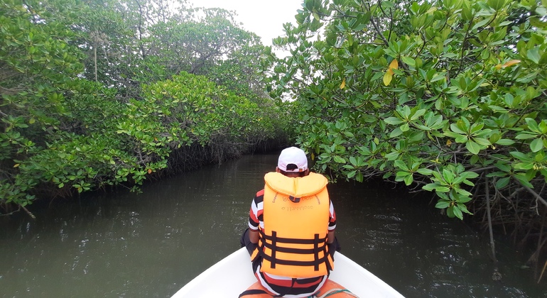 Mangrove Point Kalpitiya - Barco privado (3h) Operado por Boat Trip (Pvt) Ltd