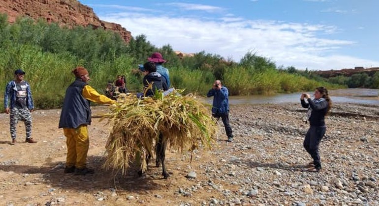 Excursión a las cascadas del desierto del Atlas desde Marrakech