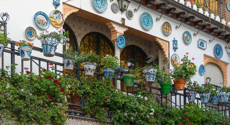 Albaicín & Sacromonte Sunset Tour Spain &mdash; #6