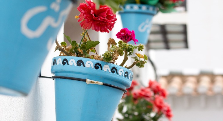 Albaicín & Sacromonte Sunset Tour Spain &mdash; #11