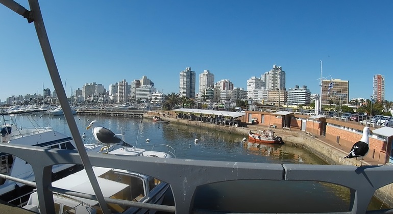 punta-del-este-walking-tour-en-12