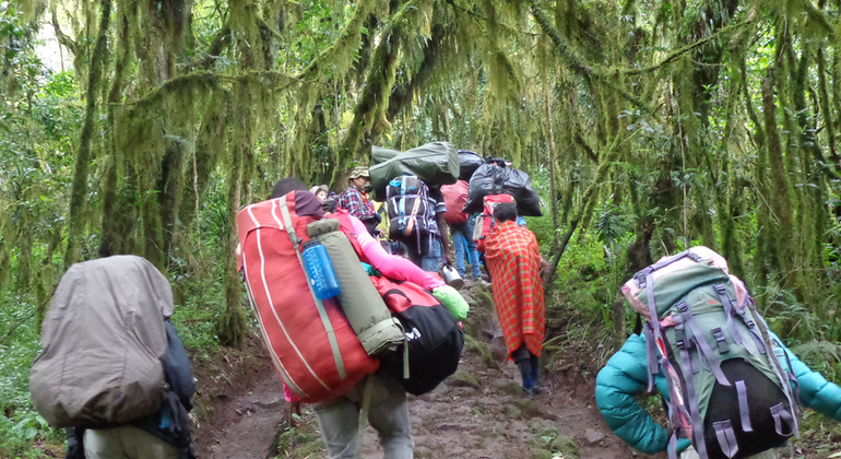 mount-kilimanjaro--day-hike-es-1
