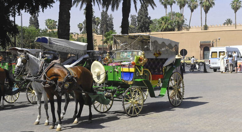 Discover the Red City of Marrakech Tour