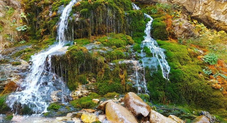 Excursão inexplorada a Tashkent: Gargantas e cascatas de Gulkam