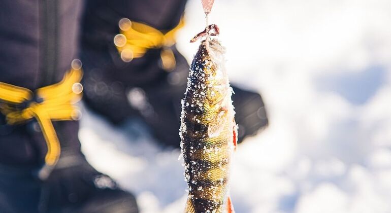 Ice Fishing Excursion with Campfire BBQ in Rovaniemi, Finland