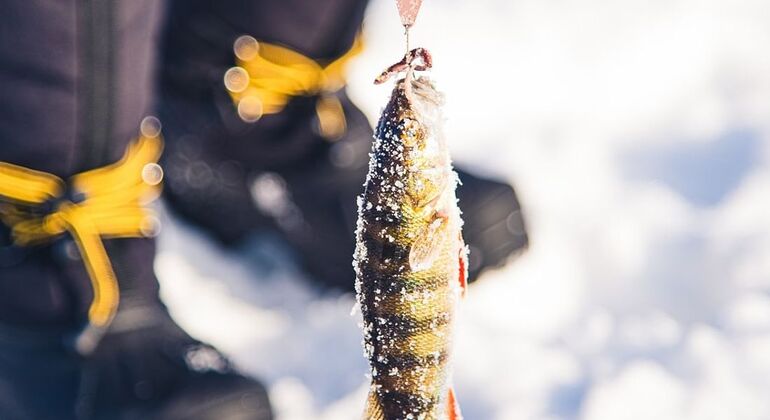 Excursión de pesca en hielo con barbacoa en Rovaniemi