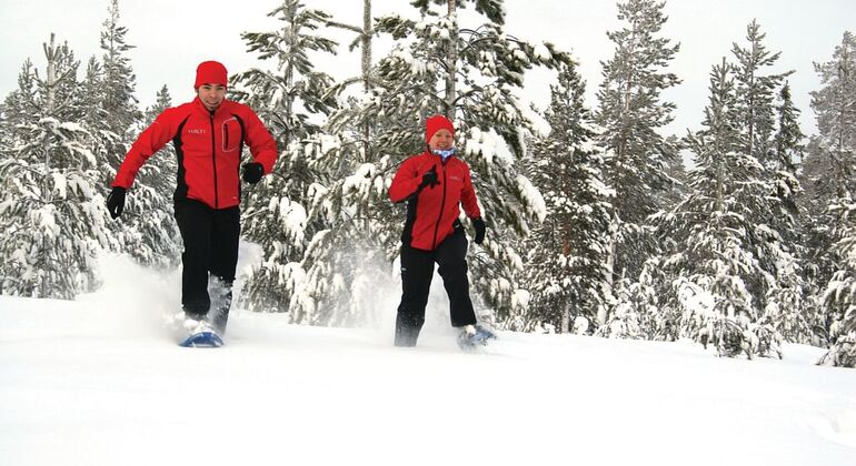 Escursione con le racchette da neve con barbecue da Rovaniemi, Finland