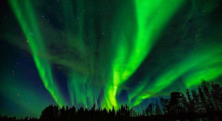 Cacería de auroras y excursión fotográfica desde Rovaniemi