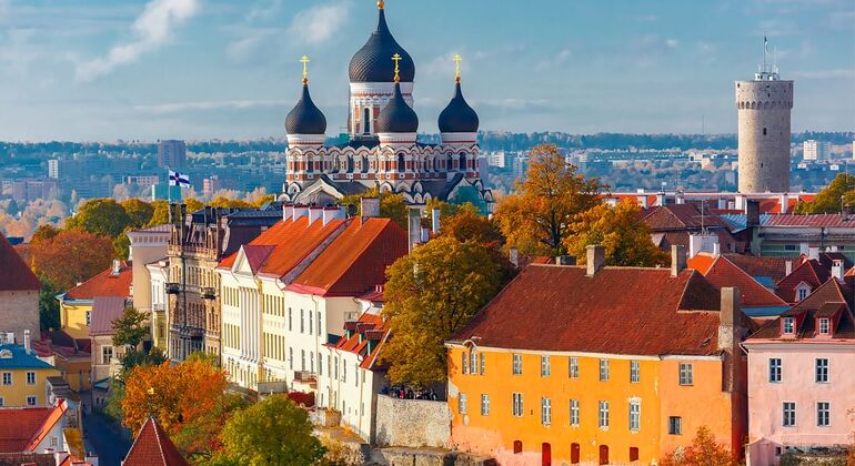 Excursão de um dia a Tallinn a partir de Helsínquia (sem recolha e entrega no hotel)