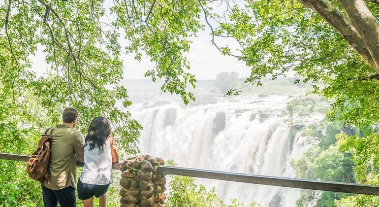 Visita guiada a las cataratas Victoria, Zambia