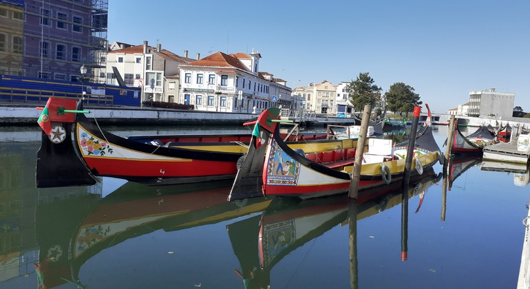 Barco panorámico Moliceiro en Aveiro Operado por aveirocentral.com