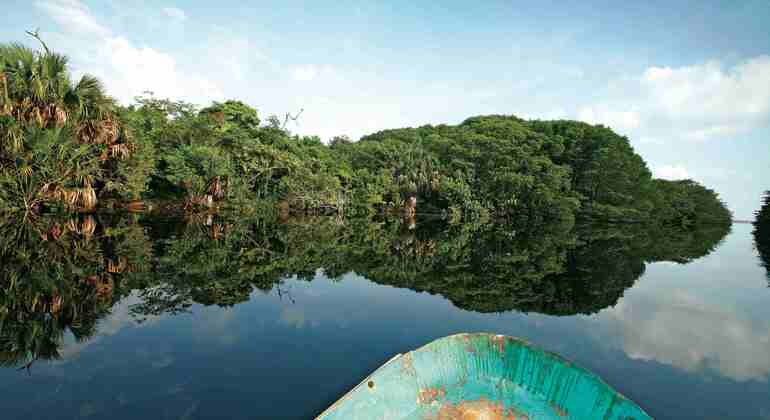 Excursión por la Costa Norte y Experiencia de Vida Salvaje, Mexico