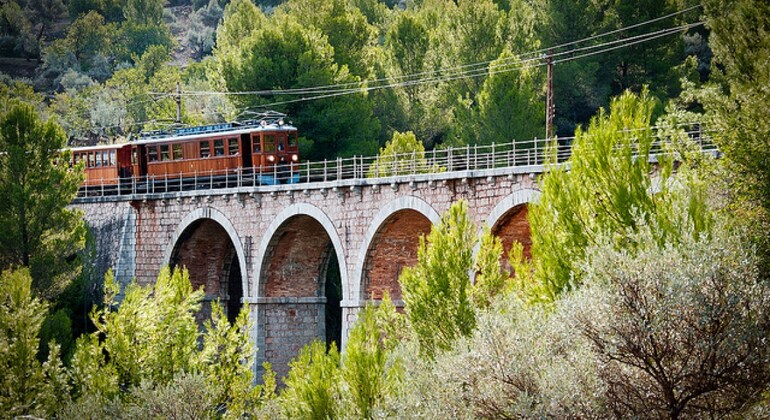 Excursion With The Soller + Lluc + Cape De Formentor Train Provided by TOURS MALLORCA
