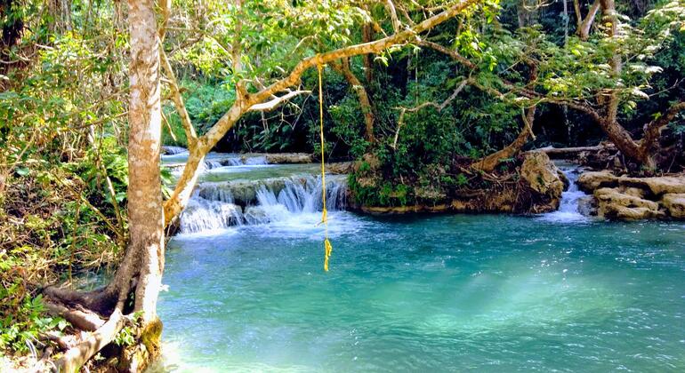 Experiência na natureza em Emerald Falls Organizado por What to do in Huatulco