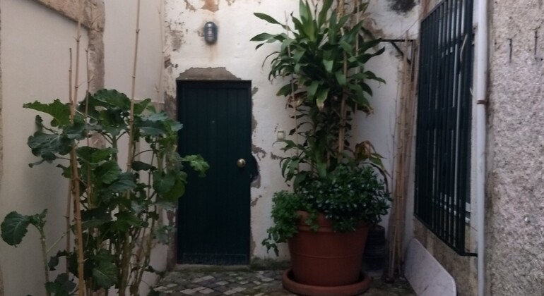 tour-old-lisbon-es-7