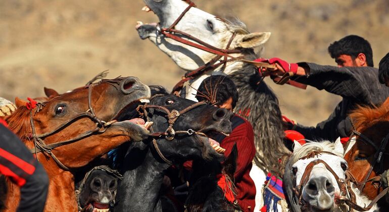 Jogos Buzkashi de Tashkent - Sentir o espírito dos nómadas Organizado por Alikhan Sadiriy