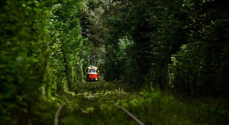 Visite gratuite des côtés juif et naturel de Kiev Ukraine — #1