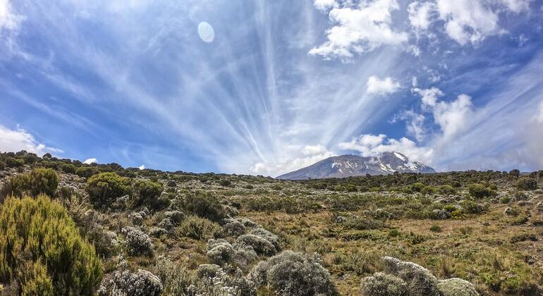 Kilimanjaro Day Nature Trip from Moshi Provided by Emmanuel