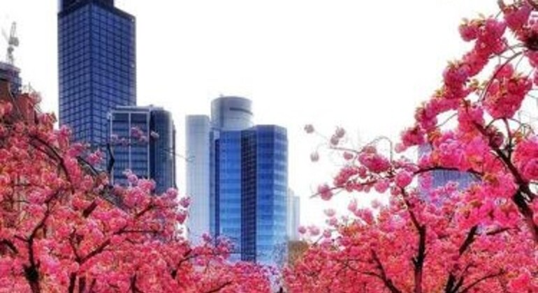 Tour privado por el centro histórico y distrito financiero Germany &mdash; #5