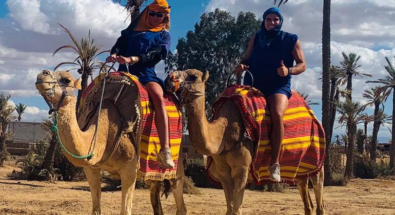 Shared Day Trip to Essaouira from Marrakech
