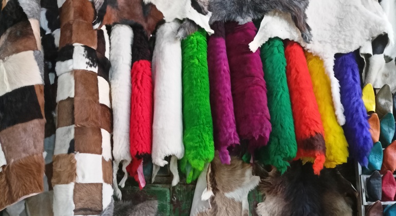 colourful-tour-of-marrakesh-en-3