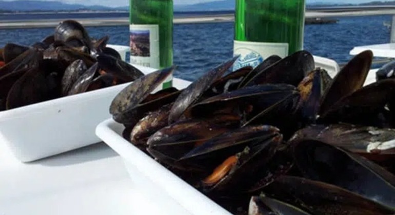 Tour a Rias Baixas con Barco y Bodega