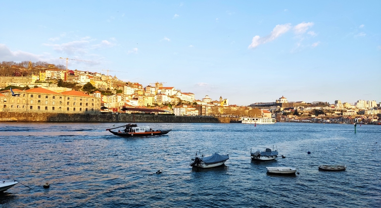 Porto Free Tour: História, Cultura, Vida Local Organizado por OPORTO CON MIGUEL