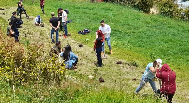 Plantation d'arbres de guérison et méditation Fournie par Andrea Zamudio